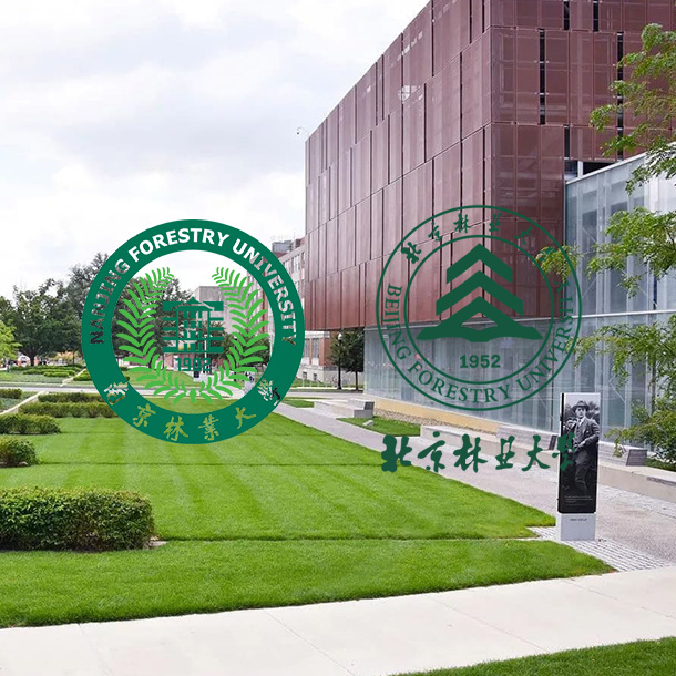 Anhui Guanming materiały dekoracyjne Co., Ltd